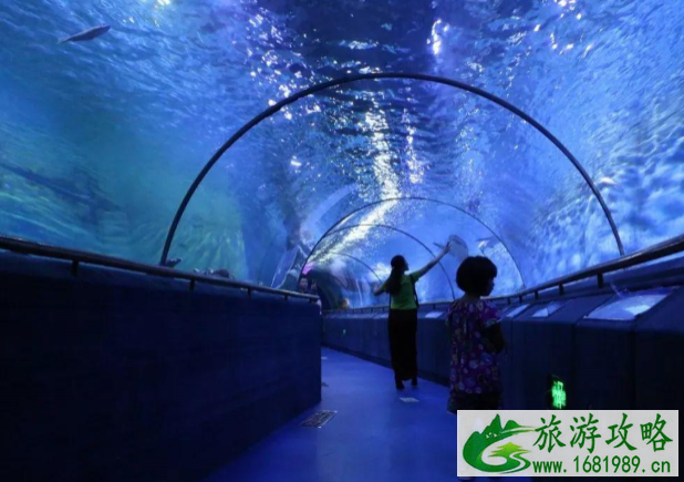 5月18日起惠州惠州抹香鲸主题馆恢复开放