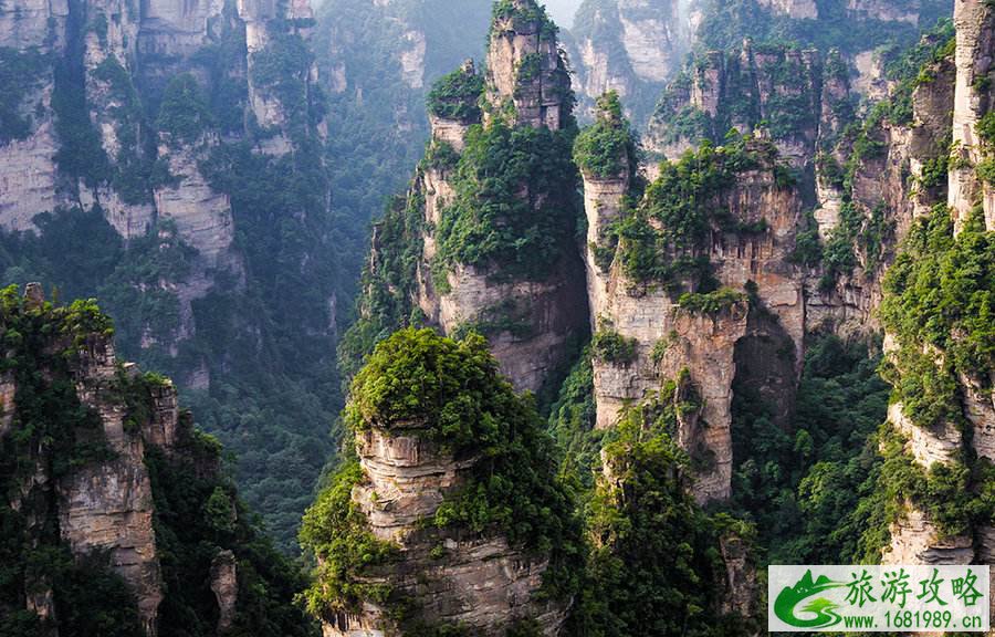 怎么去张家界旅游