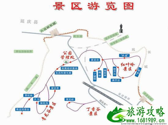 点击查看原图