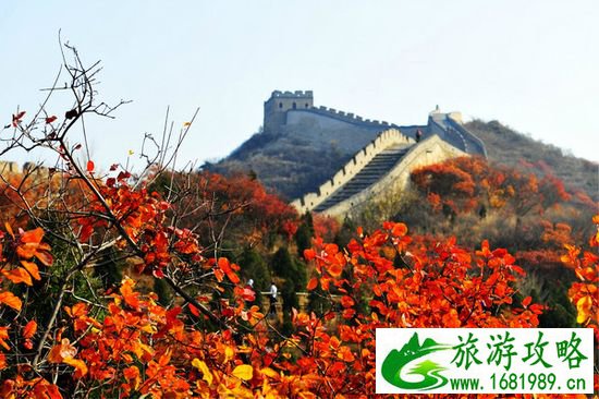 点击查看原图