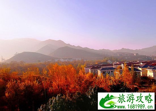 点击查看原图