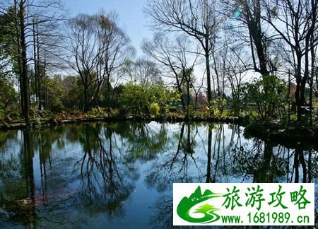 感叹岁月静好 去大理追忆旧梦寻觅新缘