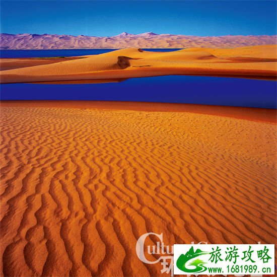 图为距离“沙子泉”不远处的“百沙泉”。与“沙子泉”湖水流向对接的沙河道不同,“百沙泉”由许多大小不等的湖泊组成,湖水之间互不流通。 图为距离“沙子泉”不远处的“百沙泉”。与“沙子泉”湖水流向对接的沙河道不同,“百沙泉”由许多大小不等的湖泊组成,湖水之间互不流通。