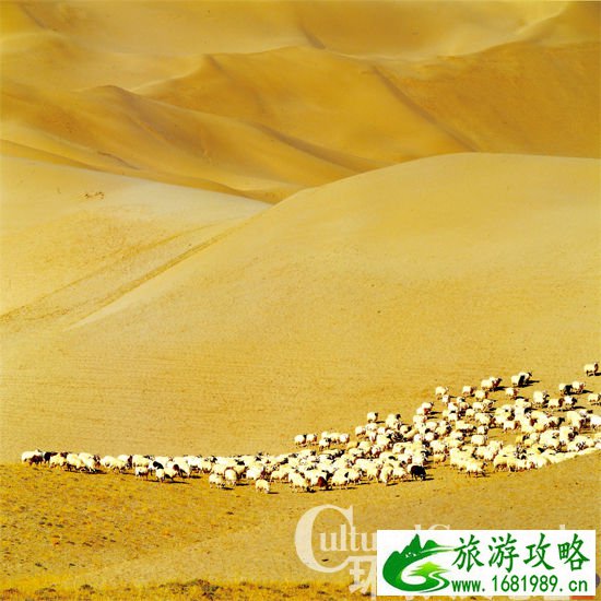 这里是动物的天堂 这里是动物的天堂