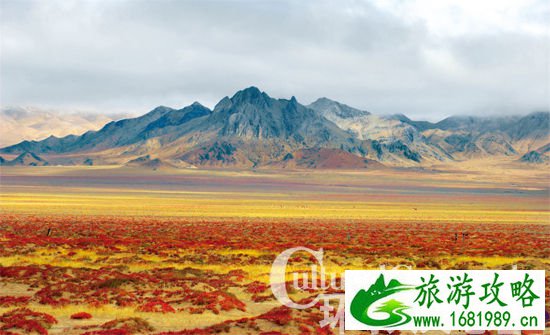 由于自然保护区内的地理景观,整体上呈现出一种“中亚荒漠”向“青藏高原”过渡的特征,所以,这里的植被颜色,也呈现出明显的深棕色向淡栗色,再向金黄色等过渡的特征。 由于自然保护区内的地理景观,整体上呈现出一种“中亚荒漠”向“青藏高原”过渡的特征,所以,这里的植被颜色,也呈现出明显的深棕色向淡栗色,再向金黄色等过渡的特征。