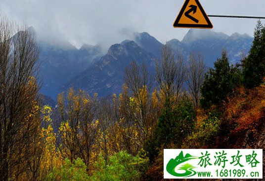 体验万山红遍 京西