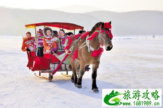 雪地马拉车 松柏林摄