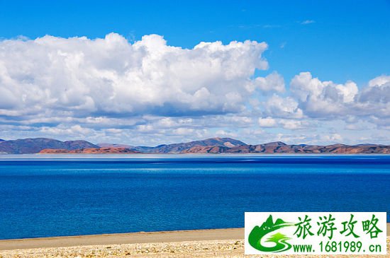 美丽的 美丽的