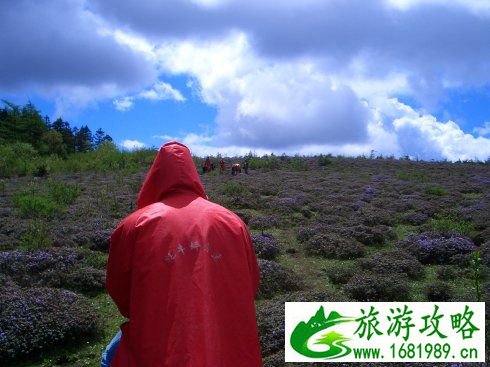 新浪旅游配图云南十八怪 图新浪旅游