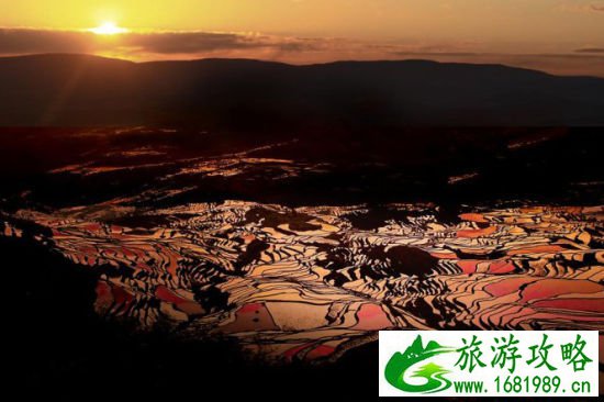 新浪旅游配图夕阳下梯田美景 图快乐人生 新浪旅游配图夕阳下梯田美景 图快乐人生