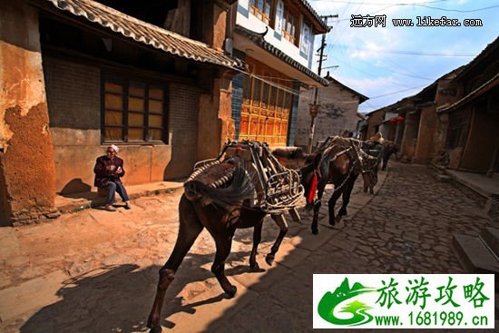 新浪旅游配图马背上走过的时光 图肖育文的新浪博客 新浪旅游配图马背上走过的时光 图肖育文的新浪博客