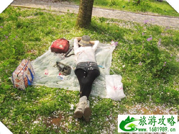 查看大图