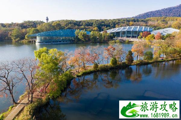 南京春季自驾游必去景点推荐 南京春季自驾游必去景点推荐