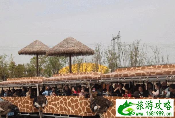 南通野生动物园旅游攻略 两日游玩行程安排 南通野生动物园旅游攻略 两日游玩行程安排