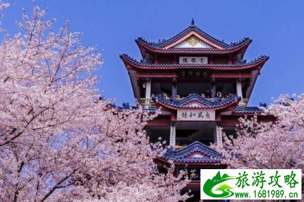 2022鼋头渚几月份去看樱花