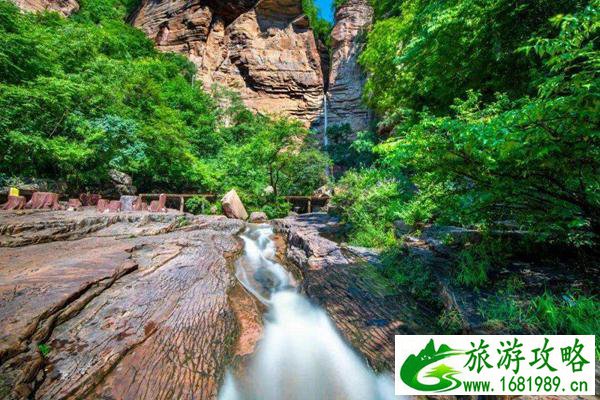 2022洛阳最适合春游的好去处