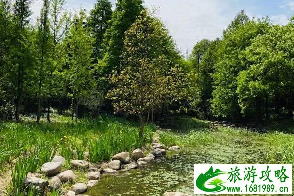 2022无锡的湿地公园有哪些 2022无锡的湿地公园有哪些