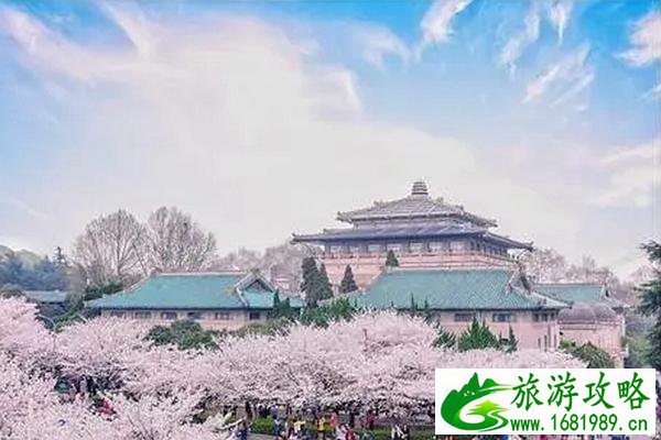 观赏武汉大学樱花的最佳时间是在几月份 三月份最合适不过了