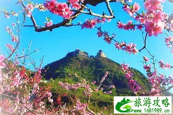 中山神湾一日游推荐路线 中山神湾一日游推荐路线