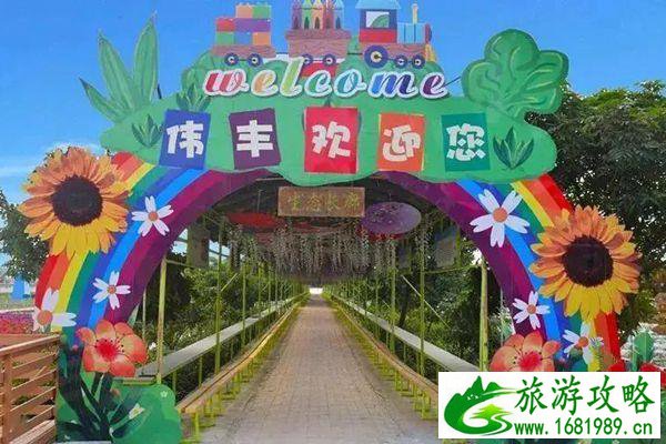 中山神湾一日游推荐路线 中山神湾一日游推荐路线