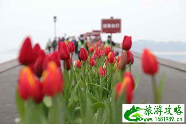 杭州西湖旅游攻略