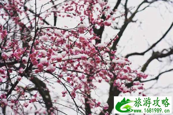 杭州西湖旅游攻略
