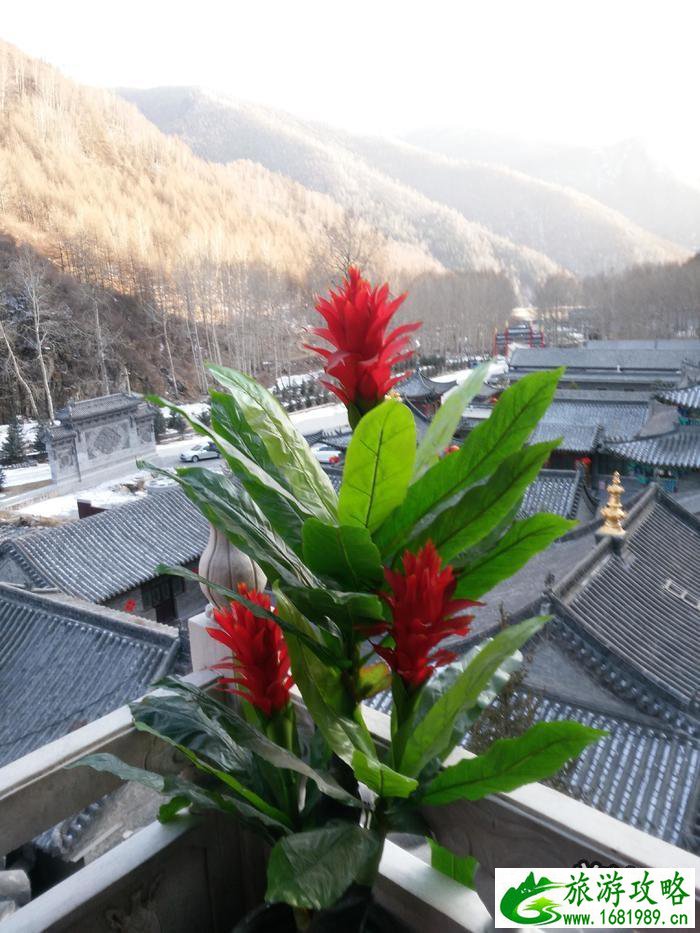 五台山三日游攻略 五台山感悟 五台山三日游攻略 五台山感悟