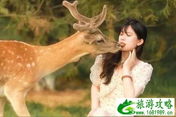 咸宁嘉鱼鹿岛公园什么时候开放 门票多少钱 咸宁嘉鱼鹿岛公园什么时候开放 门票多少钱