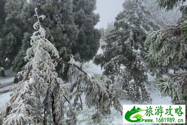 重庆有雪的景区 玩雪的地方有哪些 重庆有雪的景区 玩雪的地方有哪些