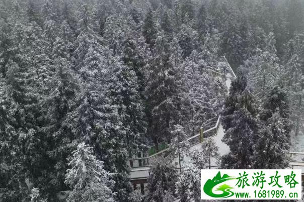 重庆有雪的景区 玩雪的地方有哪些 重庆有雪的景区 玩雪的地方有哪些