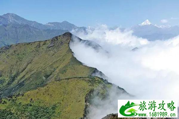 西岭雪山阴阳界什么时候能看到