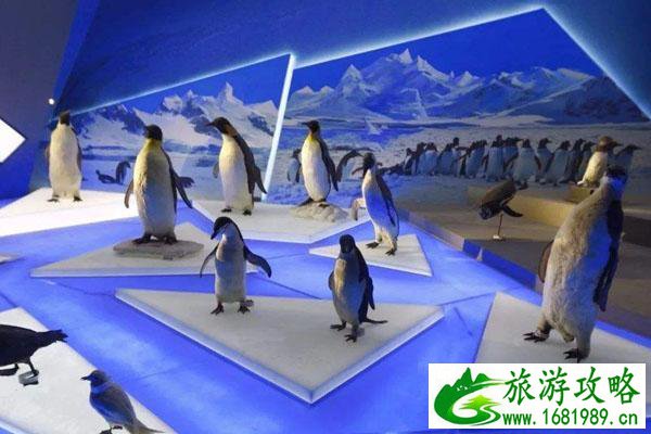 上海海昌海洋公园攻略一日游 上海海昌海洋公园攻略一日游