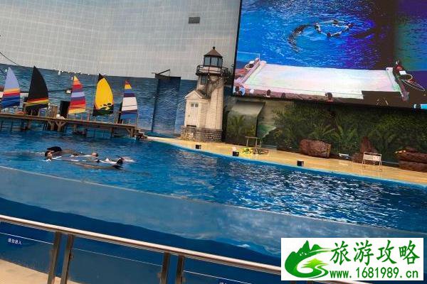 上海海昌海洋公园攻略一日游 上海海昌海洋公园攻略一日游