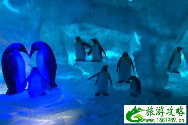 上海海昌海洋公园攻略一日游 上海海昌海洋公园攻略一日游