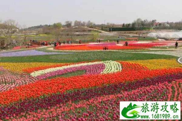 武汉黄陂冬季赏花的地方有哪些 游玩地点推荐 武汉黄陂冬季赏花的地方有哪些 游玩地点推荐