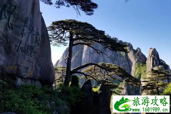 2022春节去哪旅游比较好 国内春节旅游排行榜