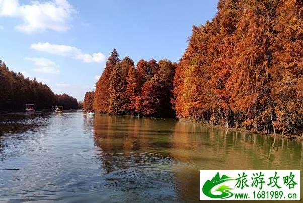 上海奉贤有什么好玩的景点 一整年的旅游指南