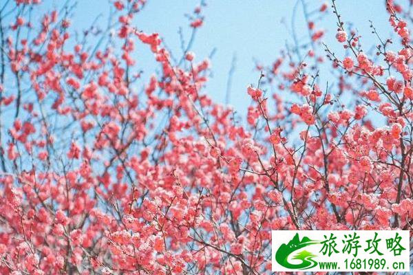 无锡冬天适合去哪里玩 冬季游玩打卡好去处