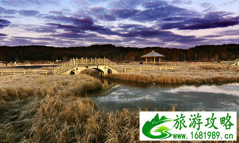 塞罕坝森林公园在哪 去塞罕坝森林公园怎么走 塞罕坝森林公园在哪 去塞罕坝森林公园怎么走