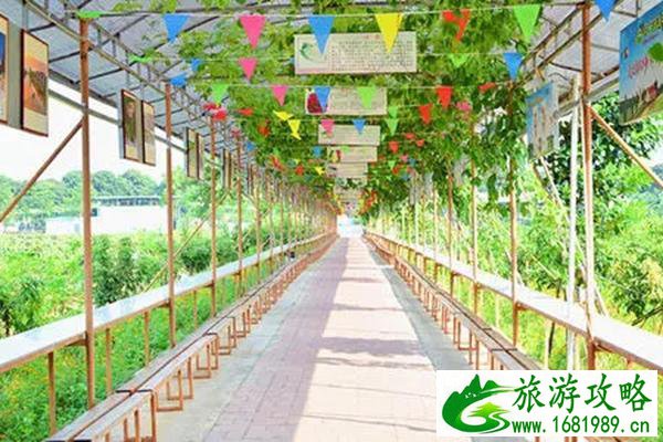 中山神湾一日游路线攻略 中山神湾一日游路线攻略