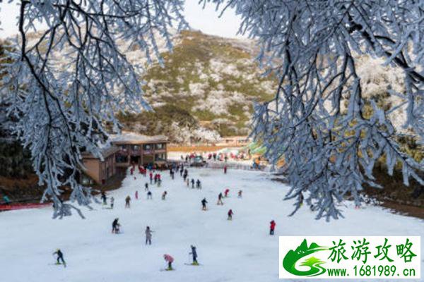 2022重庆周边元旦一日游路线推荐 2022重庆周边元旦一日游路线推荐