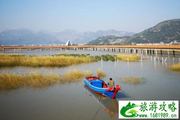 乐清西门岛红树林在哪里-好玩吗