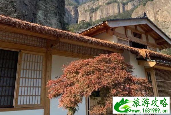 乐清西门岛红树林在哪里-好玩吗