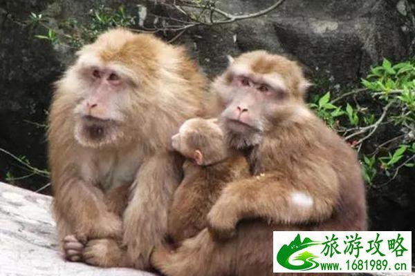 福州乐峰赤壁生态风景区门票多少钱?什么时候开放