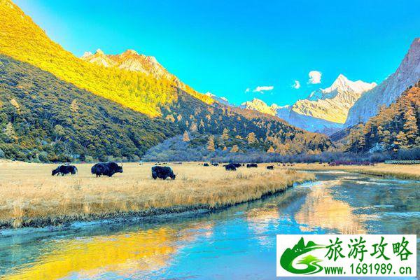 去一趟稻城亚丁需要花多少钱-稻城亚丁自由行攻略
