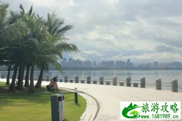 深圳有几个红树林公园 深圳红树林景点推荐