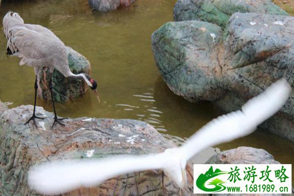 兰州野生动物园现在开放吗(附营业时间)