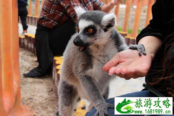 兰州野生动物园现在开放吗(附营业时间)
