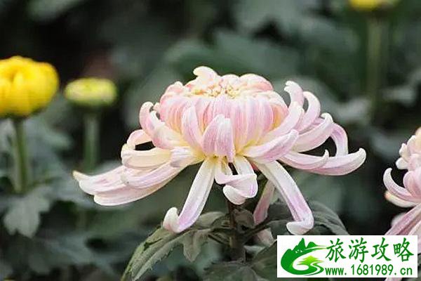 重庆秋冬旅游指南
