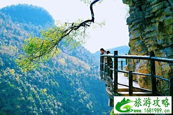 恩施免费景点有哪些 这些景点好看又好玩 恩施免费景点有哪些 这些景点好看又好玩